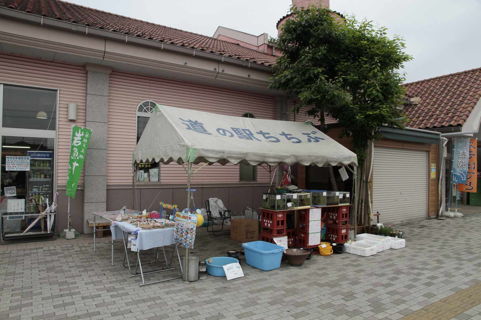 ちち の掲示板投稿写真＆画像