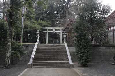 s-_MG_5521
