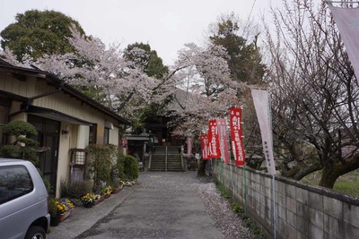 s-_DSC1970