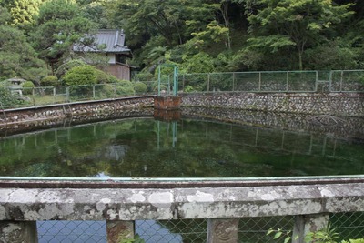 s-_MG_1317