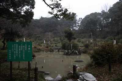 s-_MG_5503