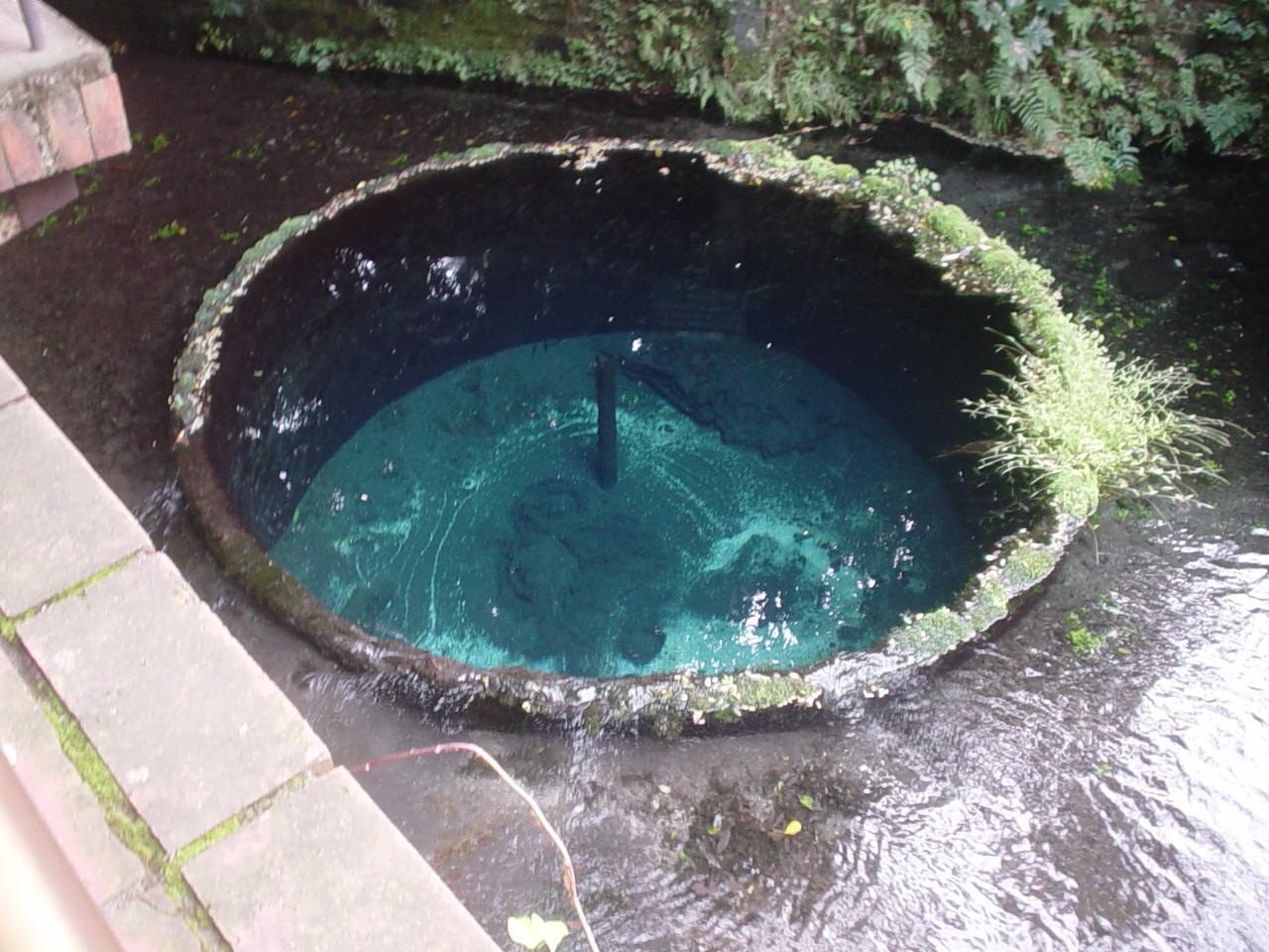 7859cc03.JPG