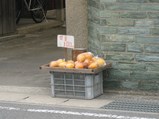 紀三井寺