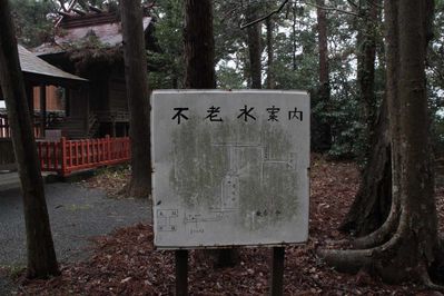 s-_MG_5544