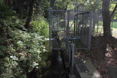 s-_MG_1296