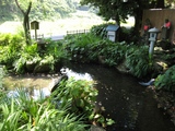 天川の水
