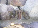 DSC02918