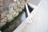 十日市場湧水群近く