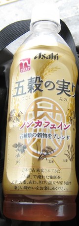 b0e21842.JPG