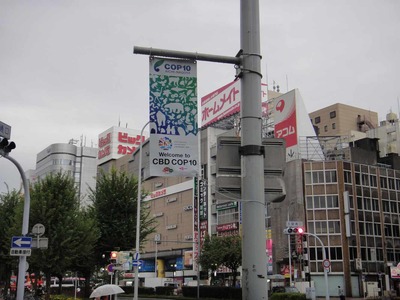 s-DSC03488