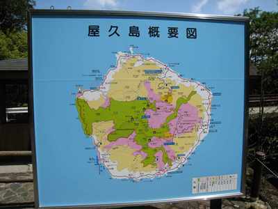 s-IMG_3426