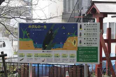 s-_MG_5452