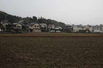 s-_MG_5575