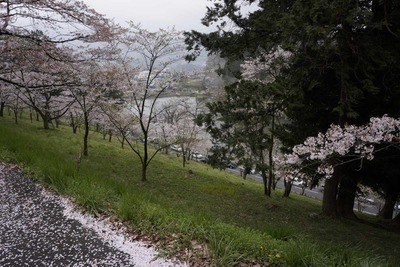 s-_DSC2287
