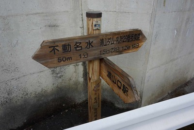 s-_DSC1817