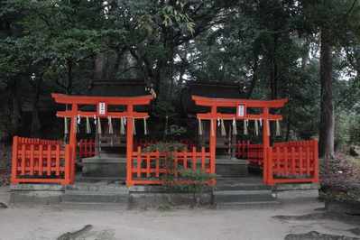 s-_MG_5494
