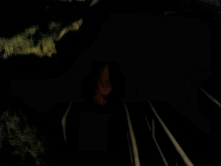 2010-07-20 026