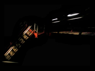 2010-07-20 028