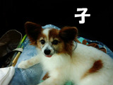 BlogPaint