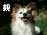 BlogPaint