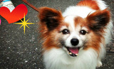BlogPaint