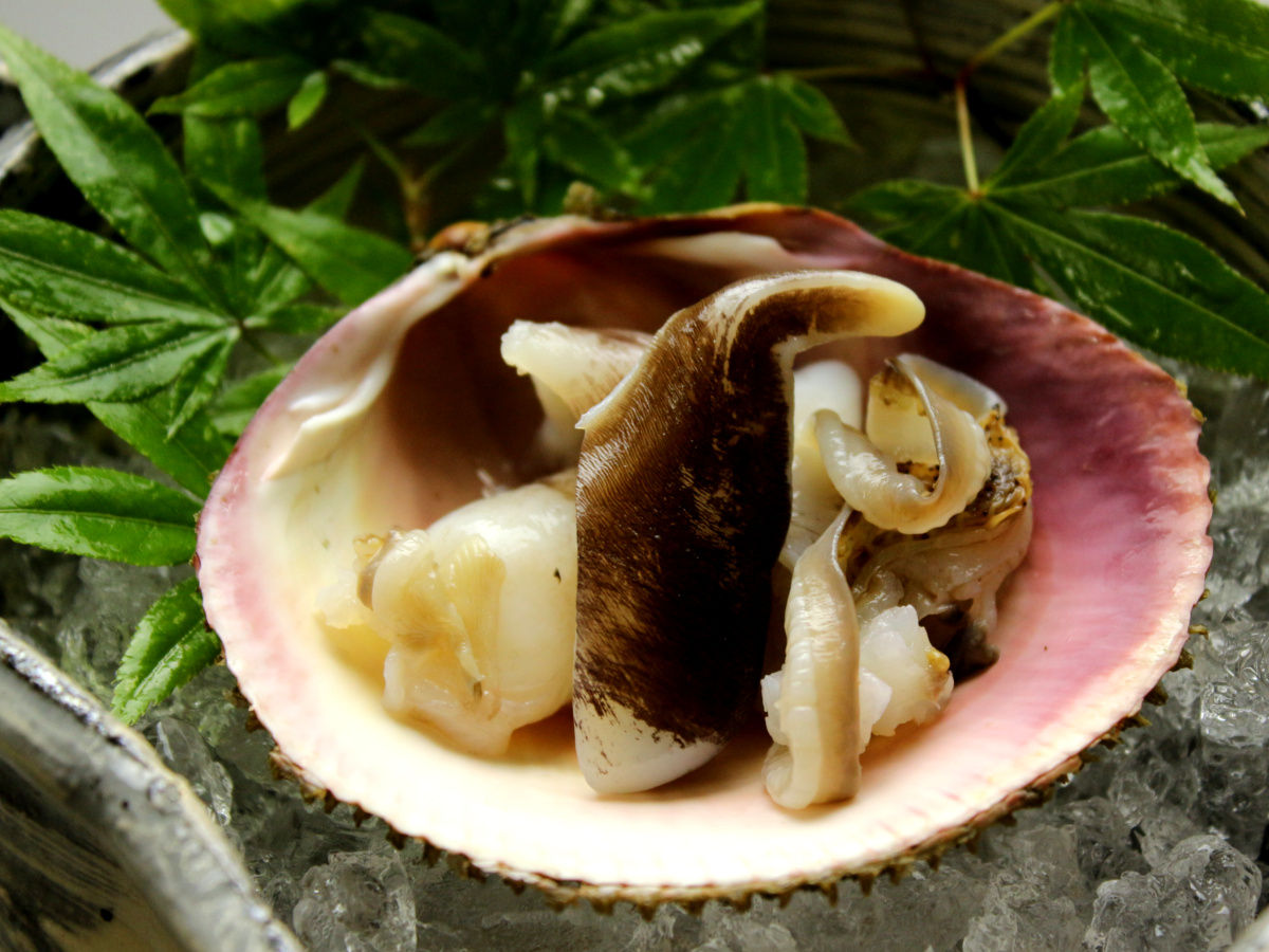 とり貝 岩牡蠣 を間人温泉で食す 丹後の夏食材は格別 今年の夏は間人温泉で素敵な思い出を 海の京料理 昭恋館 よ志のや