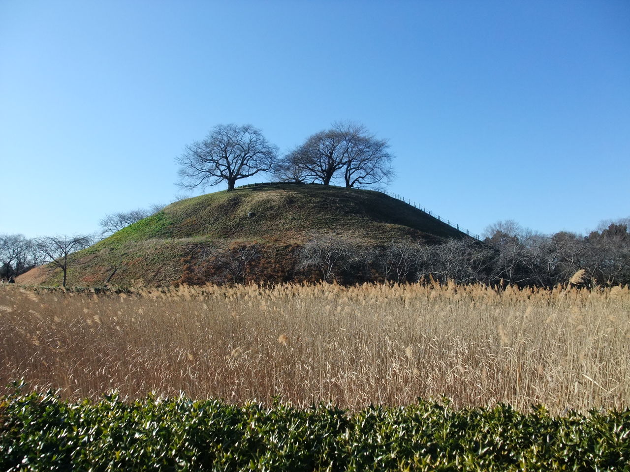 DSCF4134