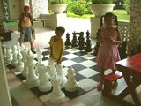 3cea6336.jpg