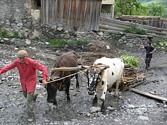 IMG_8373