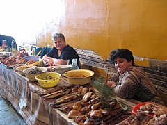 IMG_7896