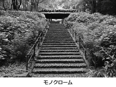 モノクローム