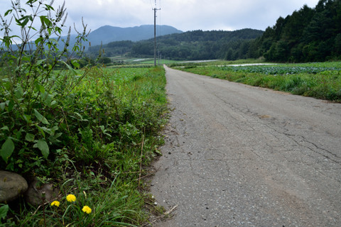 クリックで拡大