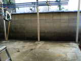 P1010001.jpg