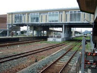 DSCF2495