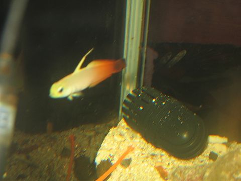 IMG_3463po