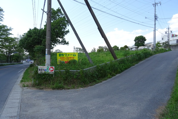 DSC01021