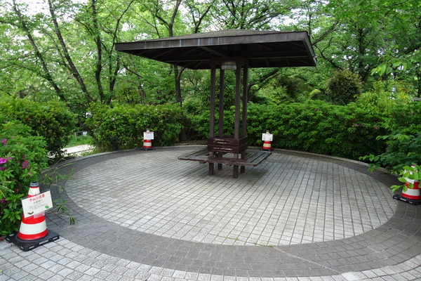 DSC00867