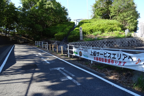 DSC05791