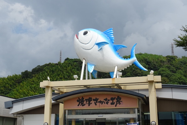 DSC04809
