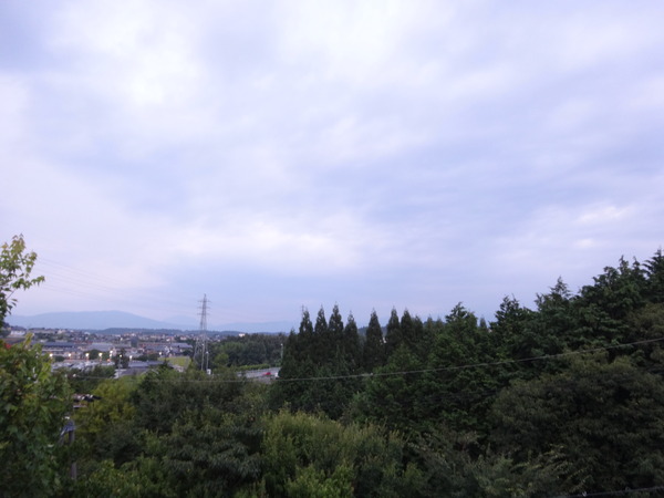 DSC07606