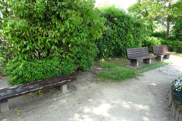 DSC00926
