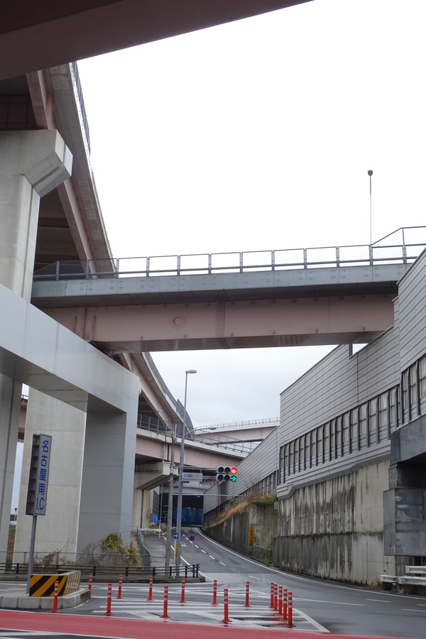 DSC03508