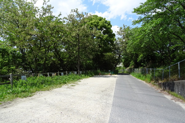 DSC00912