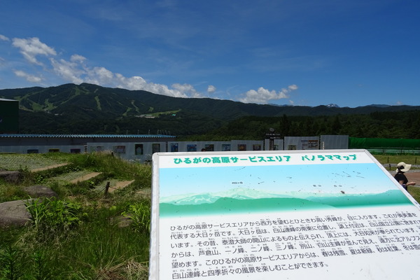 DSC01917