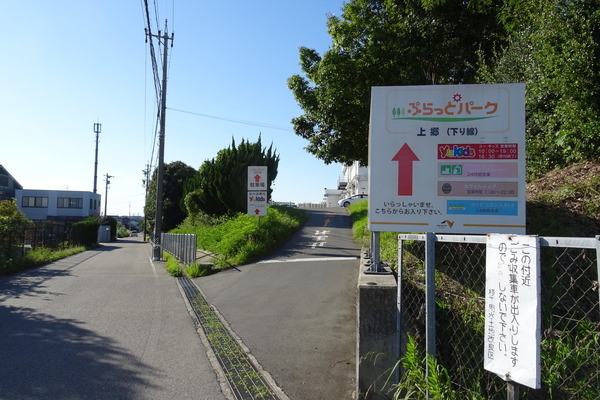DSC05847