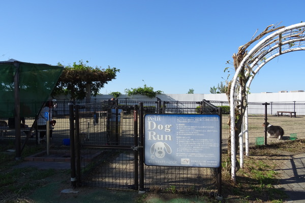 DSC05832