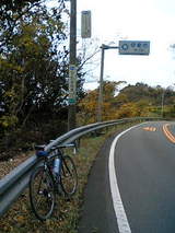 36db986f.jpg