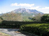 桜島全景