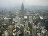 Bird Eye