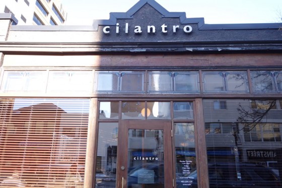 カナダ・カルガリー Cilantro